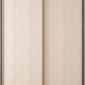 Купить Шкаф 21век