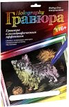 Купить Гравюра 21век