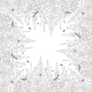 Скатерть 144x144 4668 / D885 21век