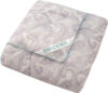 Одеяло Бамбук тик стандартное 172x205 21век
