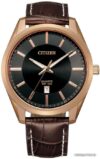 Наручные часы Citizen BI1033-04E цена