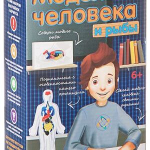 Набор для опытов Bondibon Науки с Буки Модель человека ВВ1840 цена
