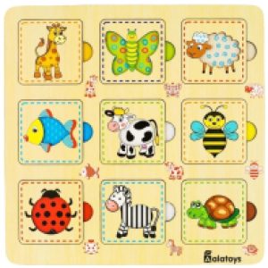 Сортер Мемори-ассоциации / ПЗЛ2041 21век