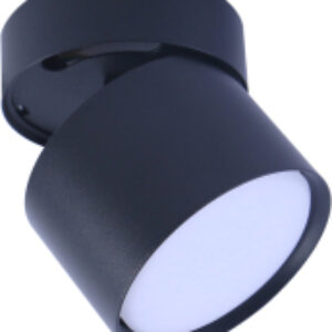 Купить Спот 21век