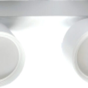 Купить Спот 21век