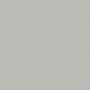 Купить Виниловые обои 21век