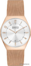 Наручные часы Skagen Grenen SKW6818 цена
