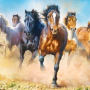 Купить Пазл 21век