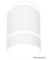 Точечный светильник Ambrella light TN256 WH/S цена