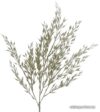 Рождественская ветка Kaemingk луговые травы 220471 (серебристый) цена