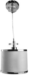 Подвесная люстра Arte Lamp Furore A3990SP-1CC цена