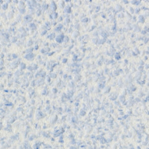 Купить Жидкие обои 21век