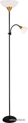 Торшер Arte Lamp Duetto A9569PN-2BK цена