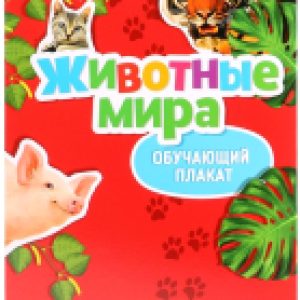 Развивающий плакат Веселые животные / 3665040 21век