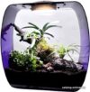 Террариум Lucky Reptile Life Box LB-35P (фиолетовый) цена