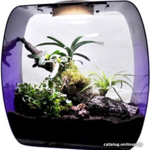 Террариум Lucky Reptile Life Box LB-35P (фиолетовый) цена