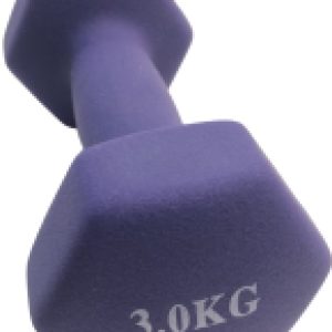 Купить Гантель 21век