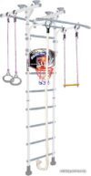Детский спортивный комплекс Midzumi Hoshi Ton Basketball Shield (снежный барс) цена