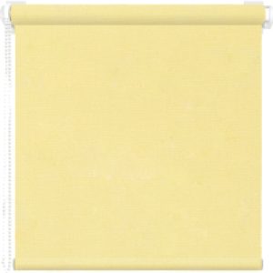 Рулонная штора Эден 40x200 21век
