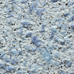 Купить Жидкие обои 21век