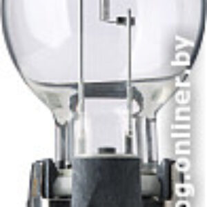 Лампа накаливания VAG PW24W N10776301 1шт цена