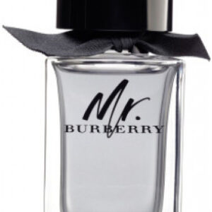 Парфюмерная вода Burberry Mr.Burberry EdP (100 мл) цена