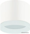 Точечный светильник ЭРА OL17 GX53 WH цена