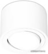 Точечный светильник Ambrella light TN222 WH/S цена