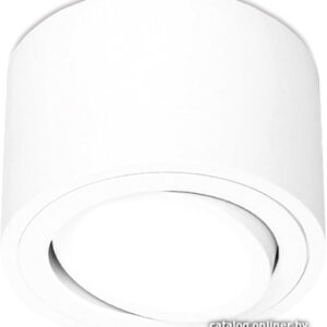Точечный светильник Ambrella light TN222 WH/S цена