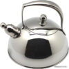 Чайник со свистком Silampos Julia Vysotskaya 411307302620A цена
