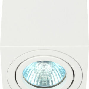 Спот ЭРА OL22 WH Б0054394 цена