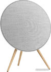 Напольная акустика Bang & Olufsen BeoSound A9 Natural Aluminium (5-ое поколение) цена