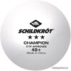 Мяч для настольного тенниса Donic-Schildkrot Champion 3 608542 (120 шт
