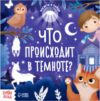 Развивающая книга Что происходит в темноте? С фонариком / 6970536 21век