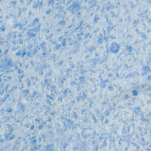 Купить Жидкие обои 21век