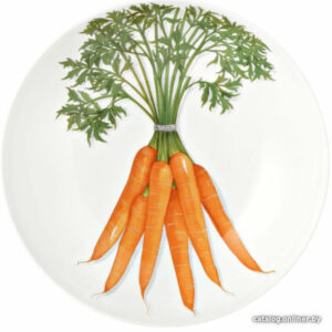 Тарелка глубокая Taitu Freedom Vegetable 1-85-D (оранжевый) цена