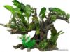 Искусственное растение Aqua Della Florascape 10 234/432143 цена