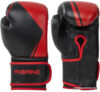 Перчатки Insane Montu IN23-BG500 (8oz