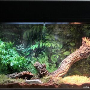 Террариум Lucky Reptile Стартовый комплект для пауков и скорпионов SK50TS-B (черный) цена