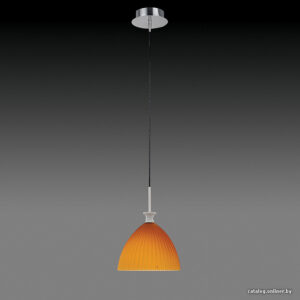 Светильник Lightstar 810023 цена
