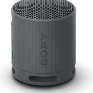 Беспроводная колонка Sony XB100 (черный) цена