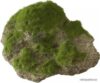 Декорация Aqua Della Moss Stone 234/430163 цена