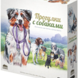 Купить Настольная игра 21век