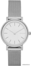 Наручные часы Skagen SKW2441 цена