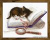 Набор для вышивания Риолис Котенок на книжке № 1725 цена