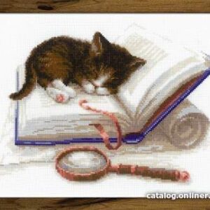 Набор для вышивания Риолис Котенок на книжке № 1725 цена