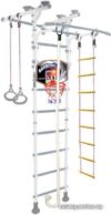 Детский спортивный комплекс Midzumi Niji Ton Basketball Shield (снежный барс) цена
