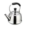 Чайник Claudette 12028454 21век