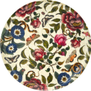 Поднос Creatures of Curiosity / CRCCR8842-XL 21век