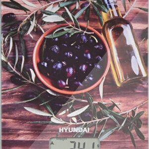 Кухонные весы Hyundai HYS-KG221 цена